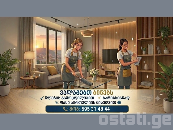 ბინების პროფესიონალური დალაგება წლების გამოცდილებით