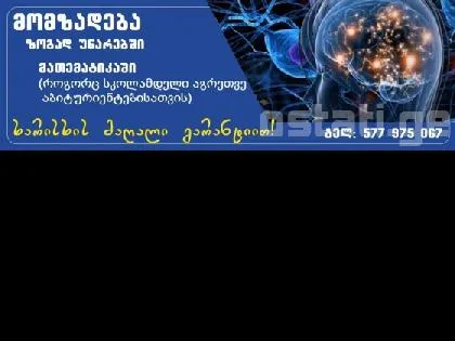 მომზადება მათემატიკა, ზოგადი უნარები