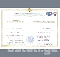 აზომვითი ნახაზები და პროექტირება სამტრედიაში